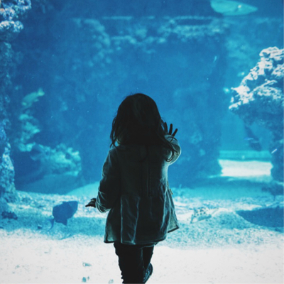 silohuette of a child in front of an aquarium.